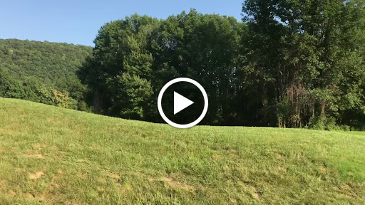 Golf Club «Black Bear Golf Club», reviews and photos, 138 New Jersey 23, Franklin, NJ 07416, USA