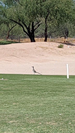 Golf Course «The 500 Club», reviews and photos, 4707 W Pinnacle Peak Rd, Glendale, AZ 85310, USA