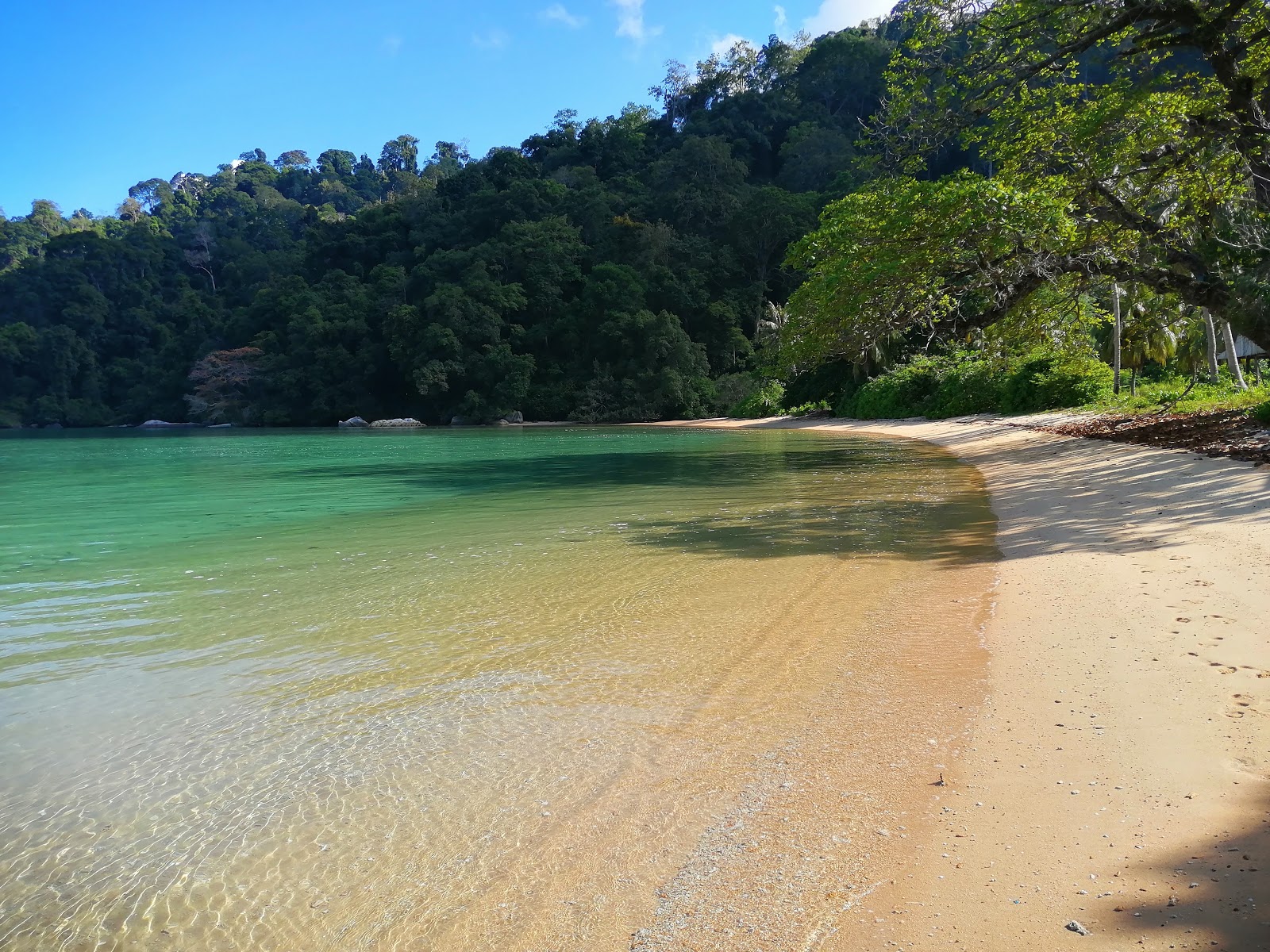 Monkey Bay'in fotoğrafı parlak kum yüzey ile