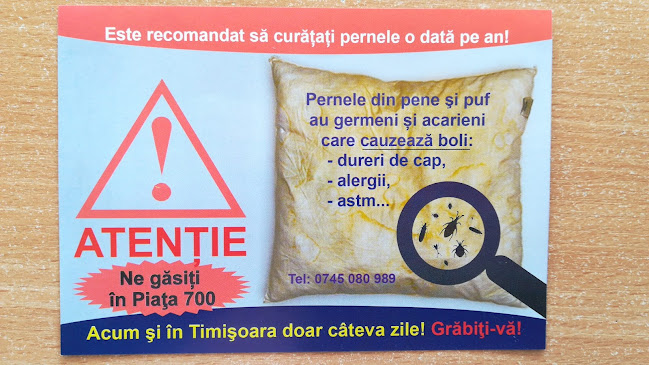 Curățătorie Perne Timișoara Piața 700 - Servicii de curățenie