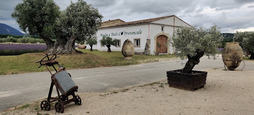Épicerie fine L' O provençale, la ferme aux oliviers Saint-Pantaléon-les-Vignes