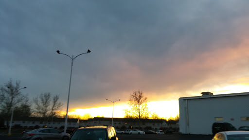 Pet Store «12th & Spring Pet Shop», reviews and photos, 1000 N 12th St, Reading, PA 19604, USA