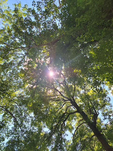 Park «Pascack Brook County Park», reviews and photos, 150 Emerson Rd, Westwood, NJ 07675, USA