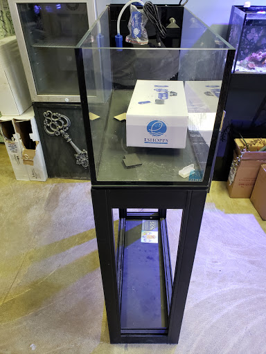 Tropical Fish Store «Saltwater Island», reviews and photos, 15214 Manchester Rd, Ballwin, MO 63011, USA