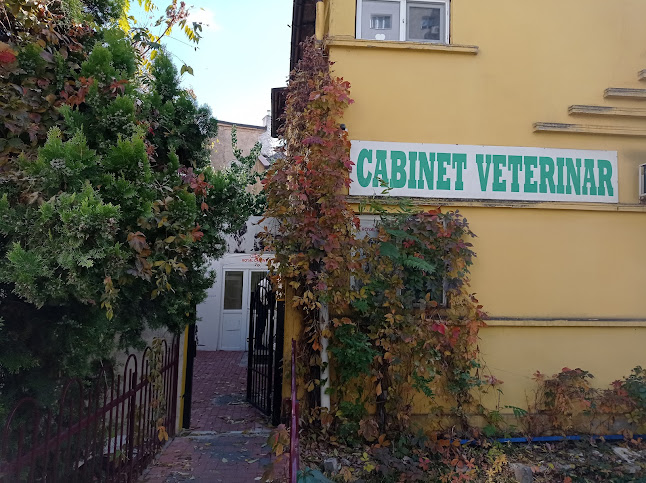 Opinii despre Iraidavet în București - Veterinar