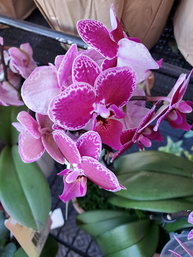 Grocery Store «Hannaford Supermarket», reviews and photos, 800 Islington St, Portsmouth, NH 03801, USA