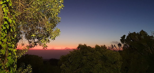 Avaliações doQuinta do Pé da Serra em Sintra - Empresa de organização de eventos