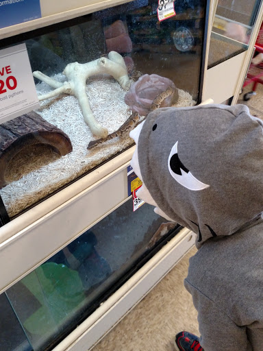 Pet Supply Store «PetSmart», reviews and photos, 1130 SE Everett Mall Way, Everett, WA 98208, USA
