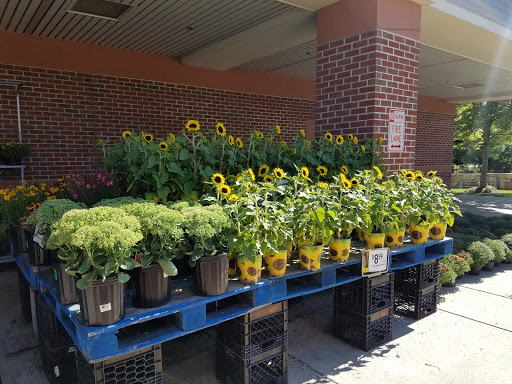 Supermarket «Stop & Shop», reviews and photos, 25 CT-39, New Fairfield, CT 06812, USA