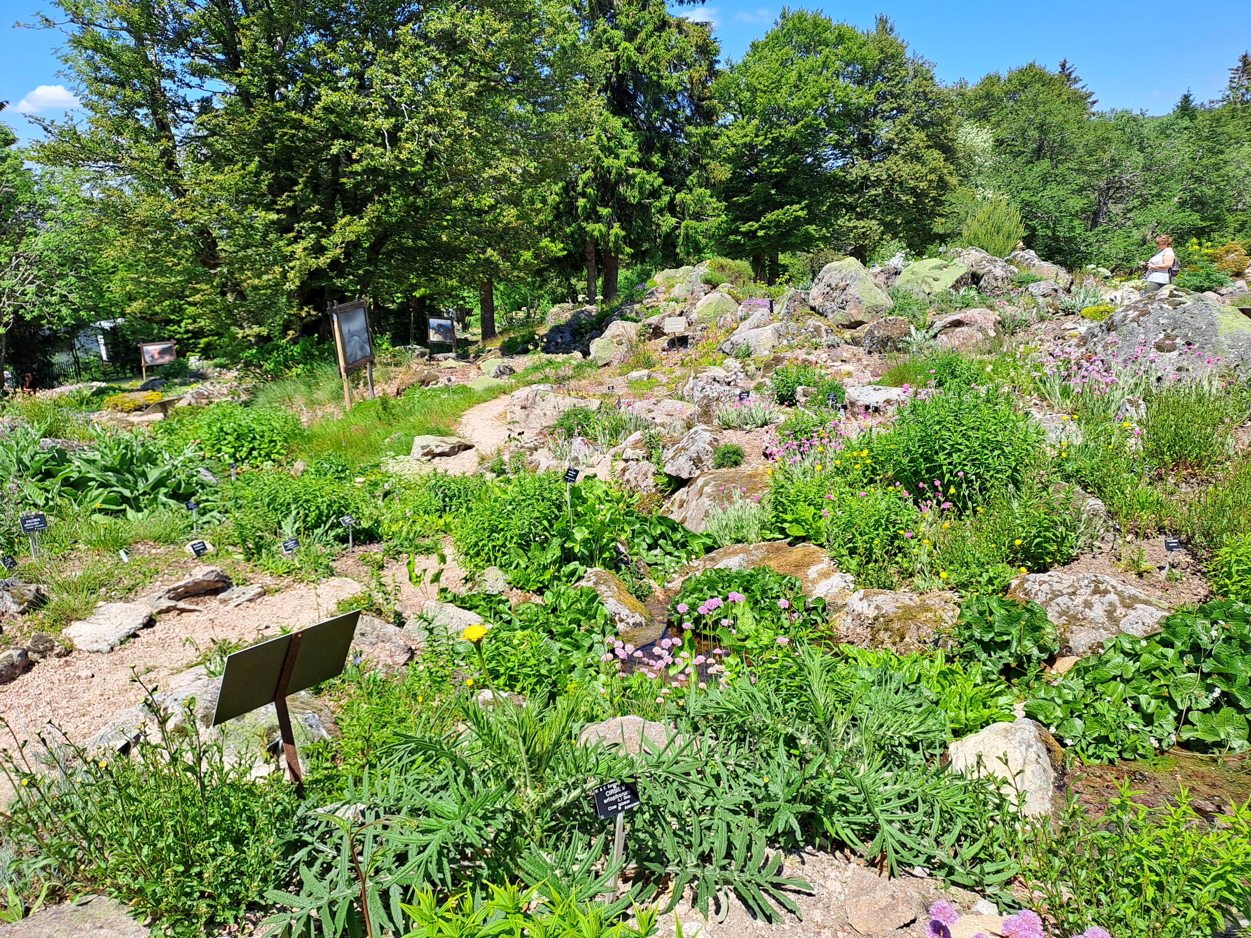 Photo n° 6 de l'avis de RAVIER.A fait le 15/06/2023 à 04:40