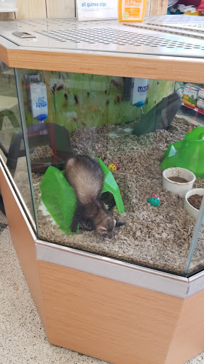 Pet Supply Store «Petco Animal Supplies», reviews and photos, 2000 NE Burnside Rd, Gresham, OR 97030, USA