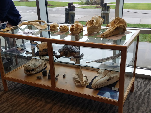 Educational Institution «Institute For Marine Mammal Studies», reviews and photos, 10801 Dolphin Ln, Gulfport, MS 39503, USA