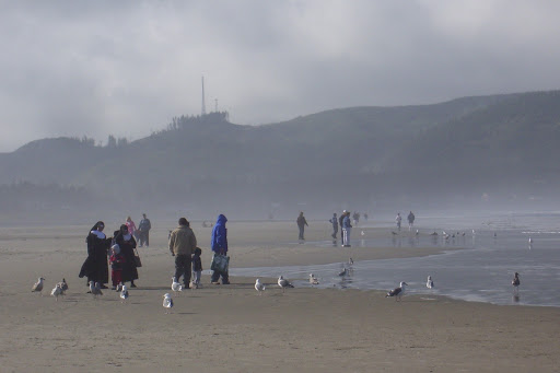 Tourist Attraction «Tillamook Head», reviews and photos, Sunset Blvd, Seaside, OR 97110, USA