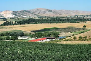 Bulgaria Wine Tours image
