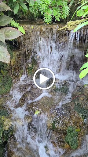 Natural History Museum «Florida Museum of Natural History», reviews and photos, 3215 Hull Rd, Gainesville, FL 32611, USA