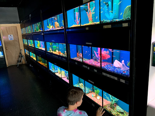 Pet Store «Wet Pets N Critters», reviews and photos, 103 TX-281 Loop, Longview, TX 75605, USA