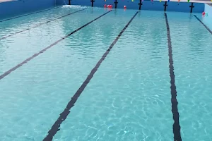 Water wings swimming academy image