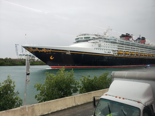 Bus Tour Agency «Miami Double Decker», reviews and photos, 303 Lincoln Rd, Miami Beach, FL 33139, USA