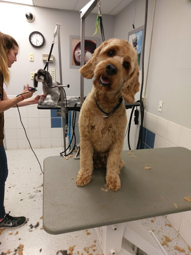 Pet Supply Store «Petco Animal Supplies», reviews and photos, 4012 W 27th Ave, Kennewick, WA 99337, USA