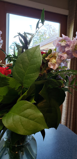 Florist «Axelrod Flowers», reviews and photos, 4429 Whitaker Ave, Philadelphia, PA 19120, USA