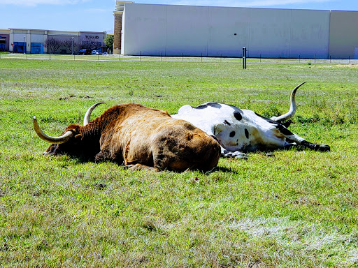 Shopping Mall «Alliance Town Center», reviews and photos, 9550 Sage Meadow Trail, Fort Worth, TX 76177, USA
