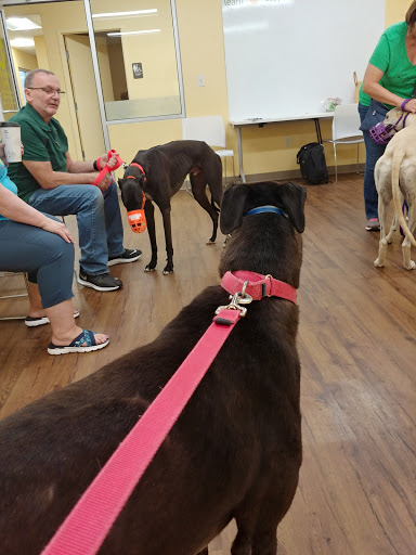 Pet Supply Store «PetPeople», reviews and photos, 3330 Washtenaw Ave, Ann Arbor, MI 48104, USA