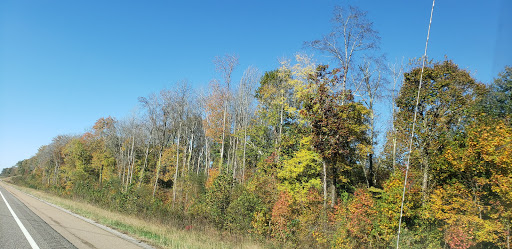 State Park «Natchez Trace State Park», reviews and photos, 24845 Natchez Trace Rd, Wildersville, TN 38388, USA