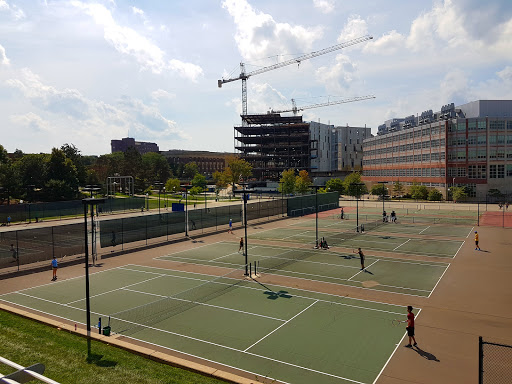 Tennis court construction company Ann Arbor