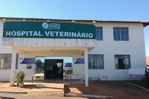 Hospital Veterinário de Pequenos Animais - UFLA image