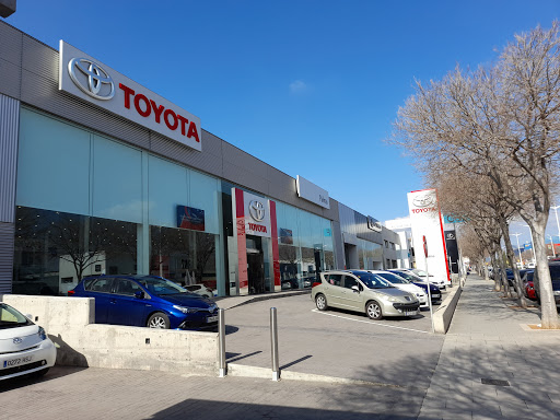 Toyota en Palma de 2024