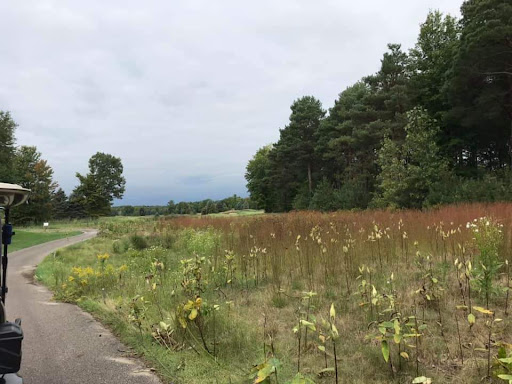 Public Golf Course «Solitude Links Golf Course and Banquet Center», reviews and photos, 5810 Flinchbaugh Rd, Kimball, MI 48074, USA