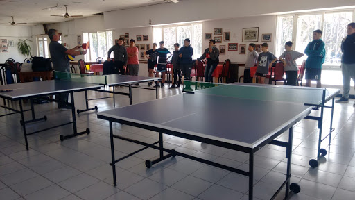 MESAS DE PING PONG ROSARIO