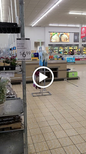 Supermarket «ALDI», reviews and photos, 2241 Citrus Blvd #103, Leesburg, FL 34748, USA