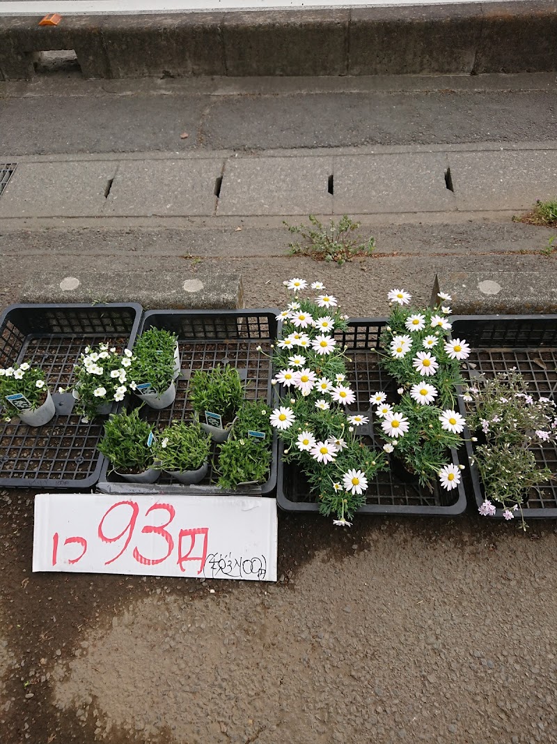 けやき花市場新里店 群馬県桐生市新里町新川 花屋 花 グルコミ