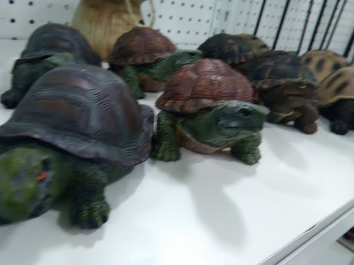 Thrift Store «Goodwill - Maple Grove: Circle North», reviews and photos, 13605 80th Cir N, Maple Grove, MN 55311, USA