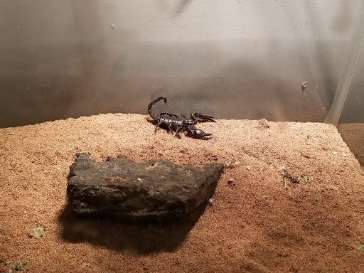 Pet Supply Store «Pet Supermarket, Inc.», reviews and photos, 598 N McCarran Blvd, Sparks, NV 89431, USA