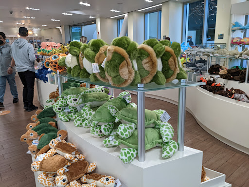 Gift Shop «Pacific Collections Gift Shop», reviews and photos, 100 Aquarium Way, Long Beach, CA 90802, USA