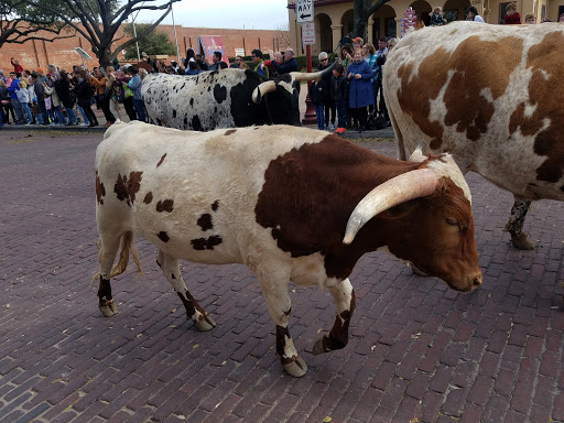 Tourist Attraction «Fort Worth Stockyards Station», reviews and photos, 140 E Exchange Ave, Fort Worth, TX 76164, USA