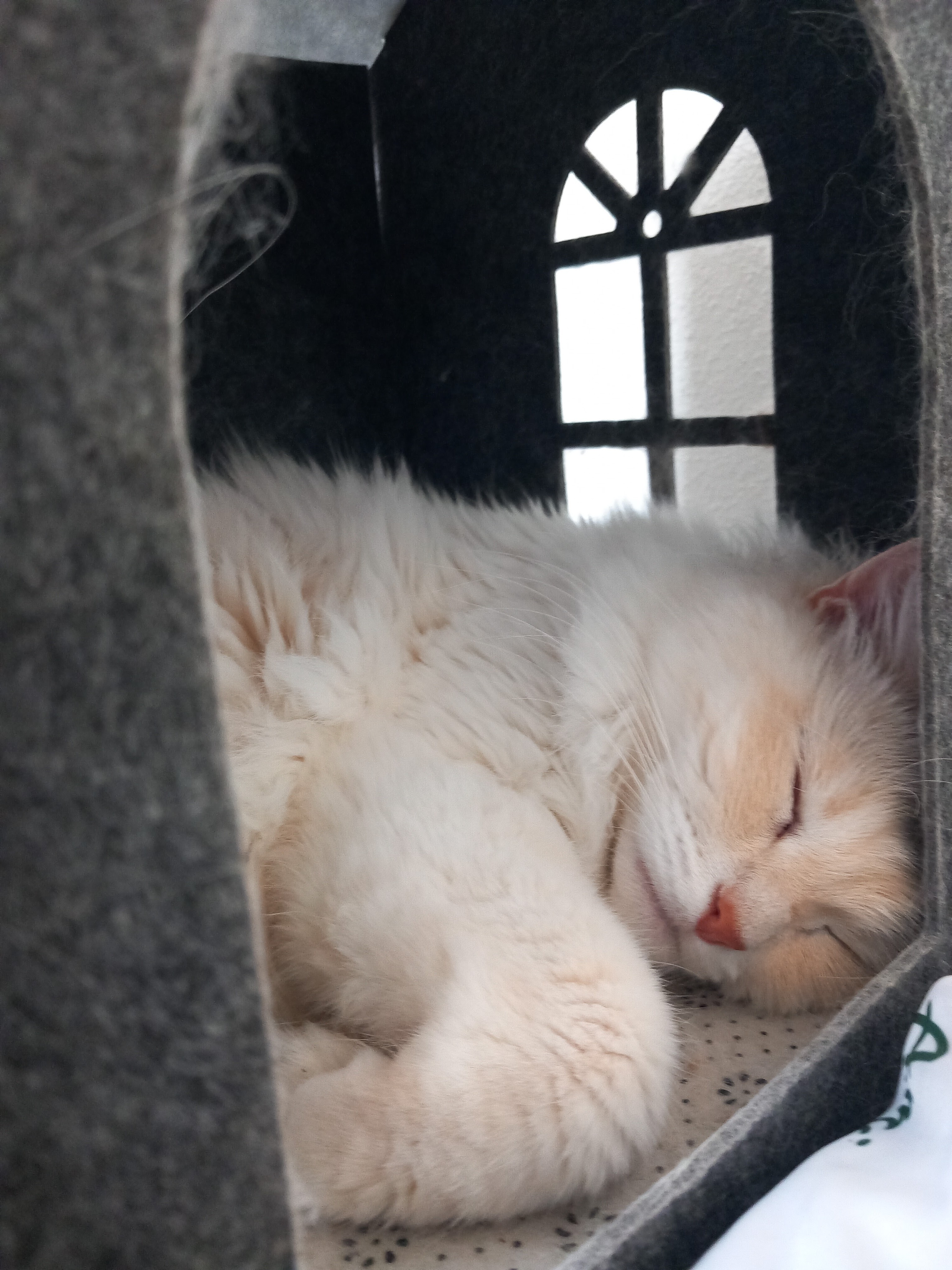 Photo n° 1 de l'avis de quentin.u fait le 26/09/2023 à 19:30