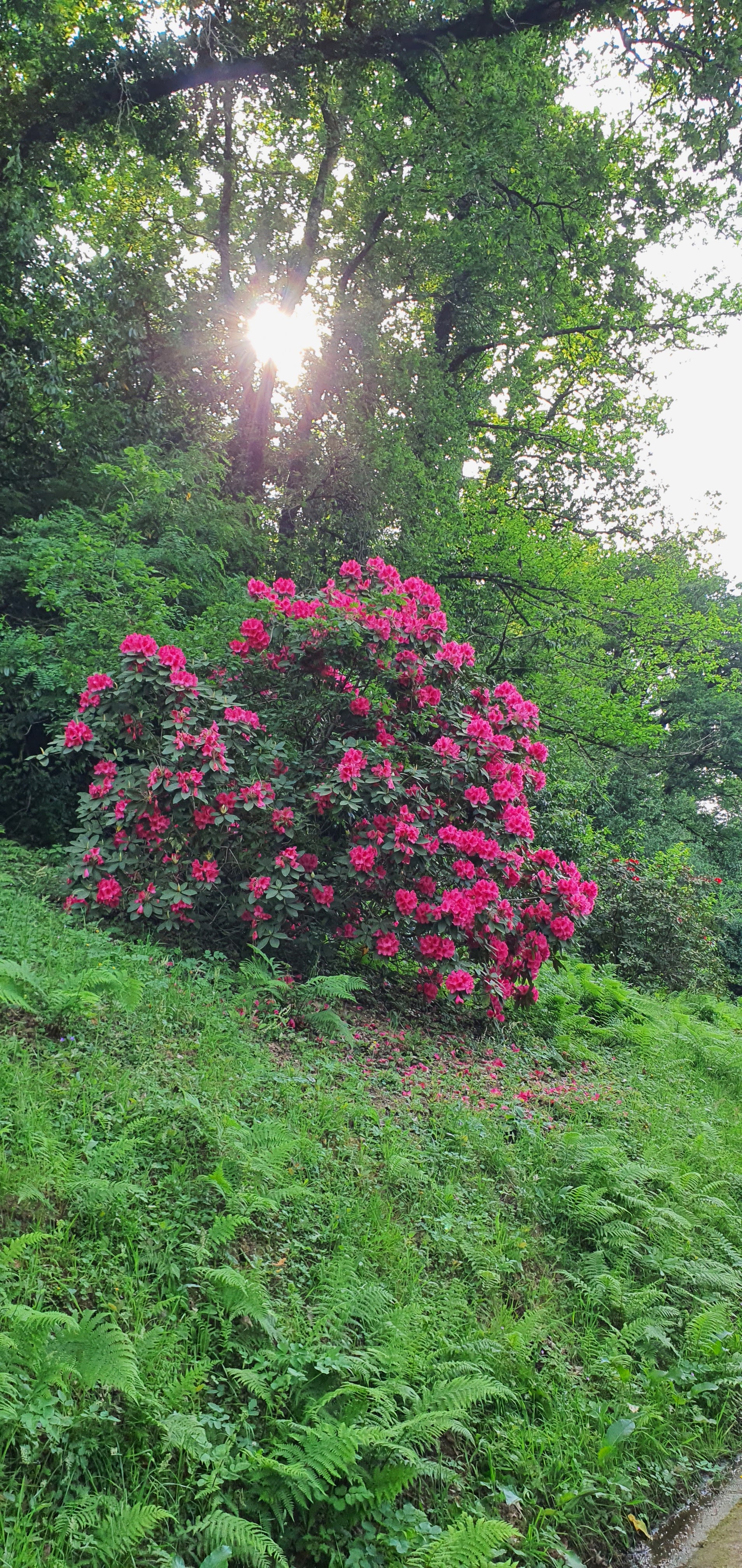 Photo n° 5 de l'avis de Pascal.R fait le 20/05/2022 à 17:24