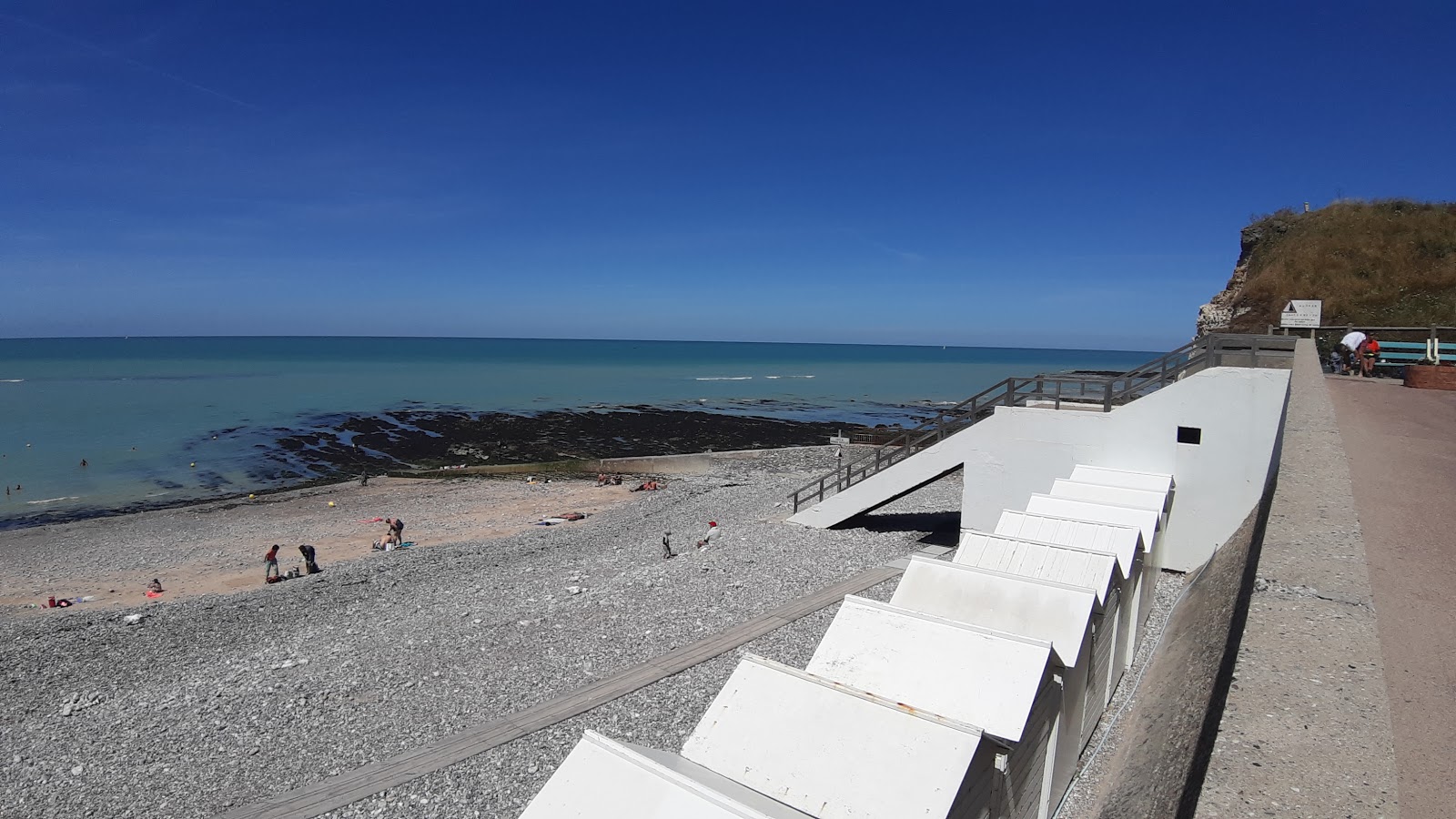 Foto van Plage des Petites Dalles wilde omgeving