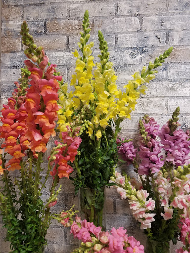 Florist «Sanford Flower Shop», reviews and photos, 209 E Commercial St, Sanford, FL 32771, USA