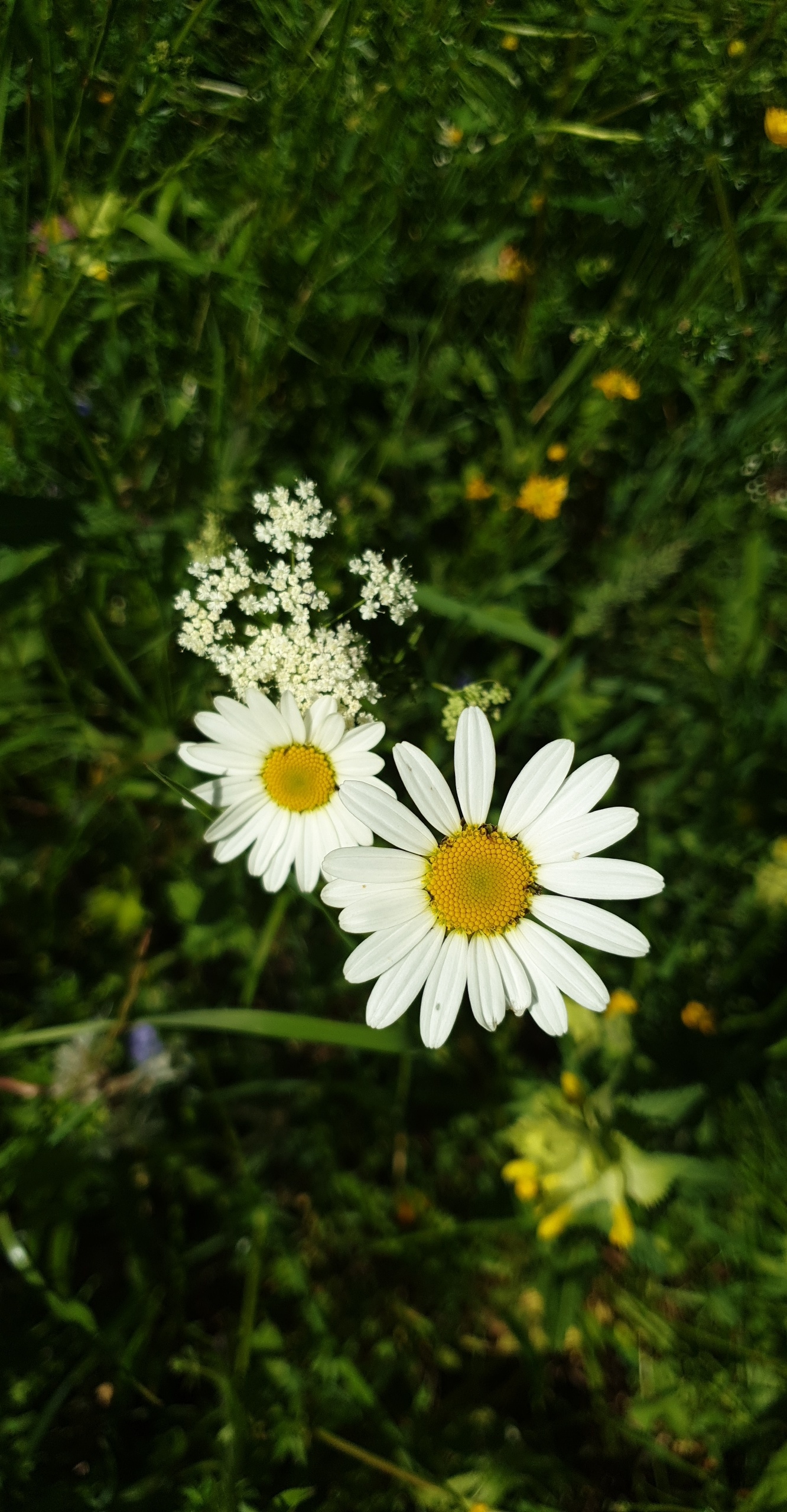 Photo n° 1 de l'avis de Sophie. fait le 23/05/2019 à 23:37