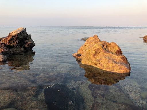 Top 20 cửa hàng akemi Huyện Lý Sơn Quảng Ngãi 2022