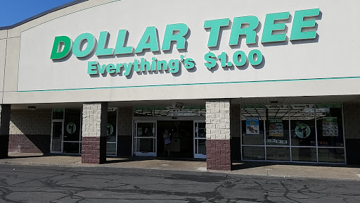 Dollar Tree image 9