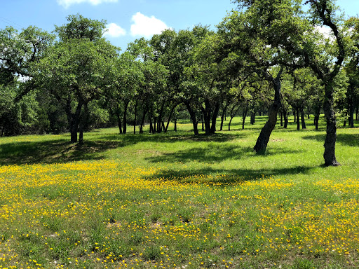 National Park «Overlook Park», reviews and photos, 601 Coe Rd, Canyon Lake, TX 78133, USA
