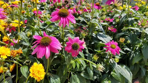 Home Improvement Store «The Home Depot», reviews and photos, 3101 Manawa Center Dr, Council Bluffs, IA 51501, USA