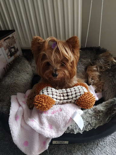 Unai San Vicente Alvarez - Urretxu