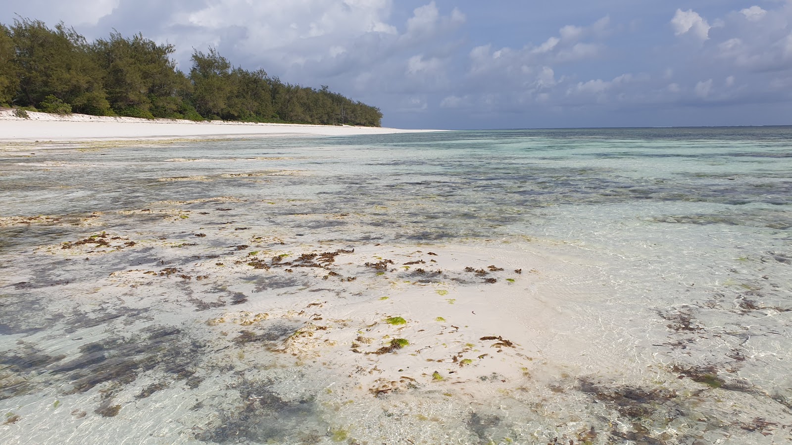Photo de Plage de Mbuyuni - endroit populaire parmi les connaisseurs de la détente