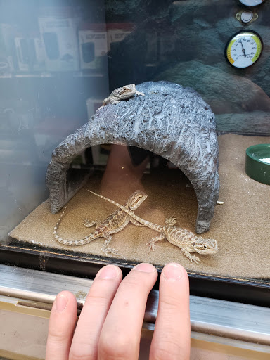 Pet Supply Store «Petco Animal Supplies», reviews and photos, 839 New York Ave, Huntington, NY 11743, USA